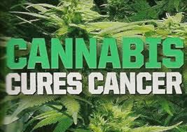 Can Cannabis Cure & Prevent Cancer?