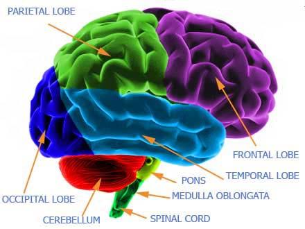 ADHD Symptoms Persist For Most Young Children Despite Treatment