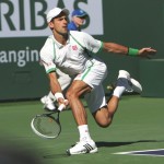 Djokovic-Sharapova 239-web