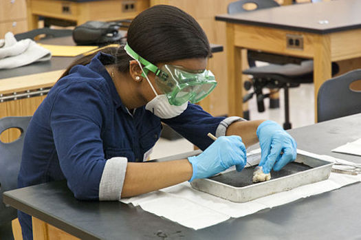 Groundbreaking Bill Introduced to Ban Animal Dissection in CA Schools
